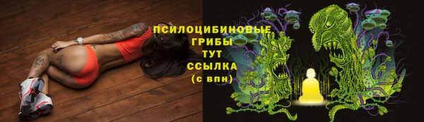 твердый Майский