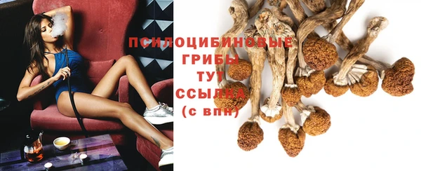 твердый Майский