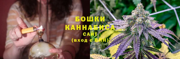 твердый Майский