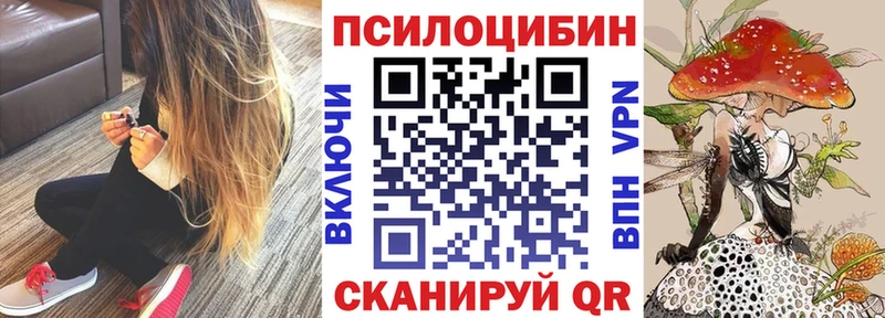где можно купить наркотик Рязань Псилоцибиновые грибы Magic Shrooms